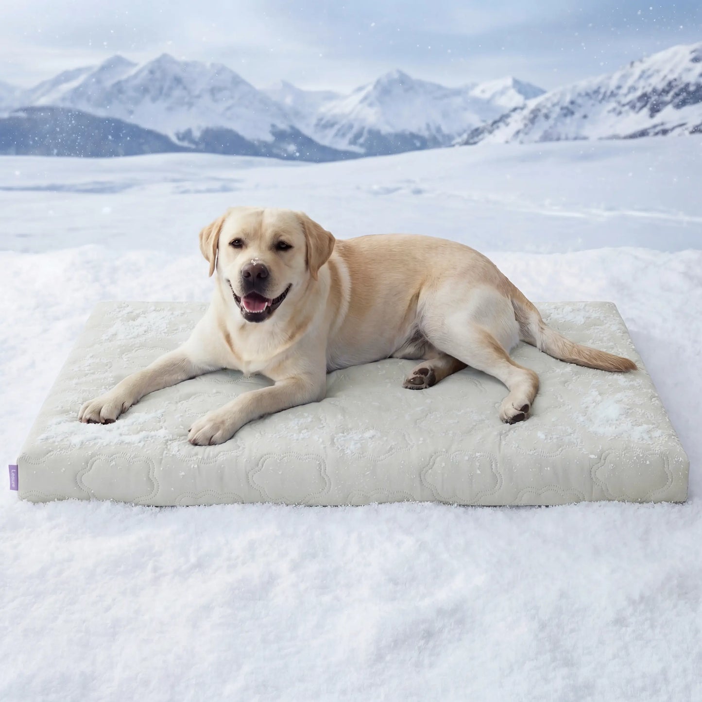 Lesure Orthopedic Cooling Dog Mat with Washable Cover, Q-Max > 0.5, Egg Crate Foam Non-Slip Design for Extra Large Dogs