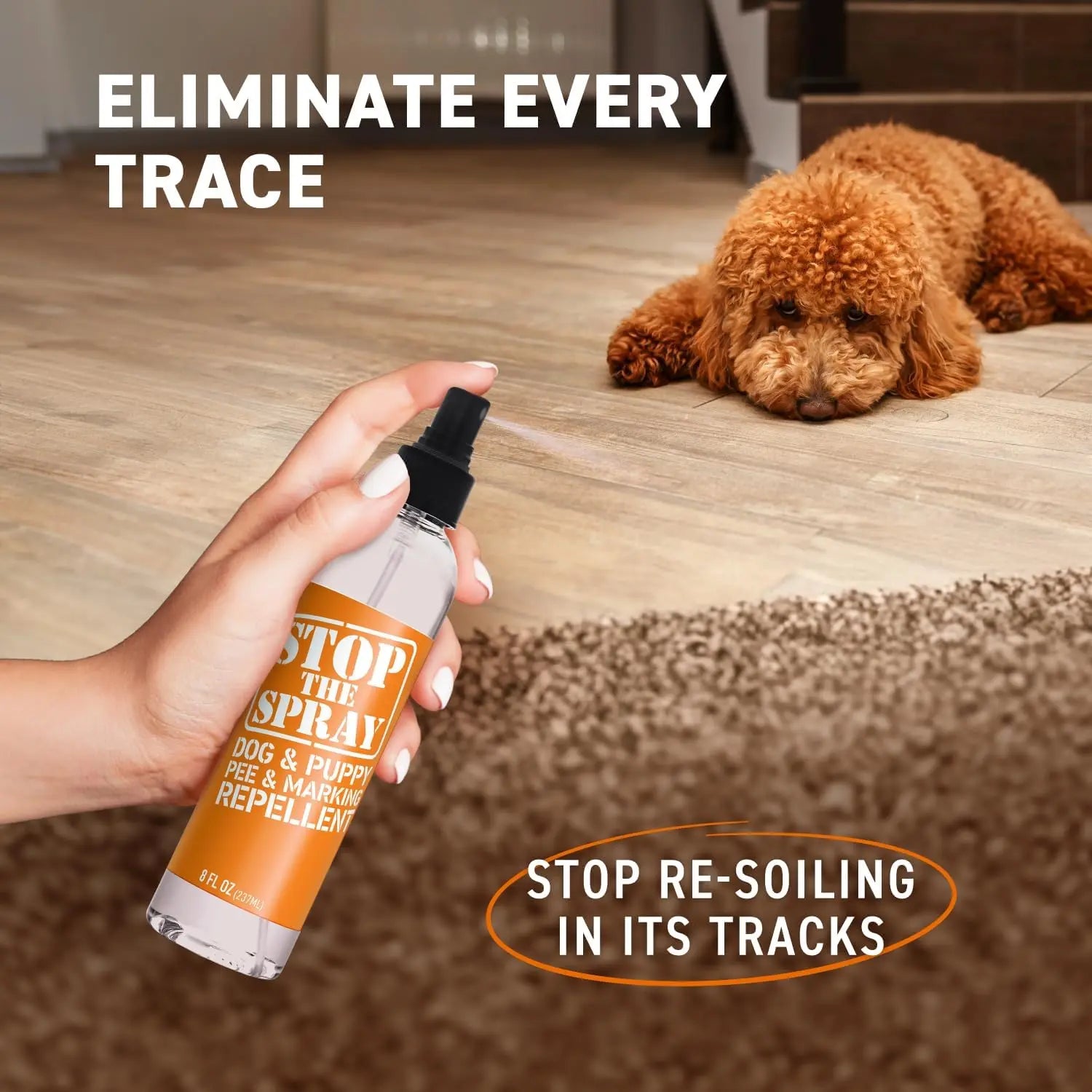 EBPP Professional Indoor Dog and Puppy Urine Marking Repellent Training Spray