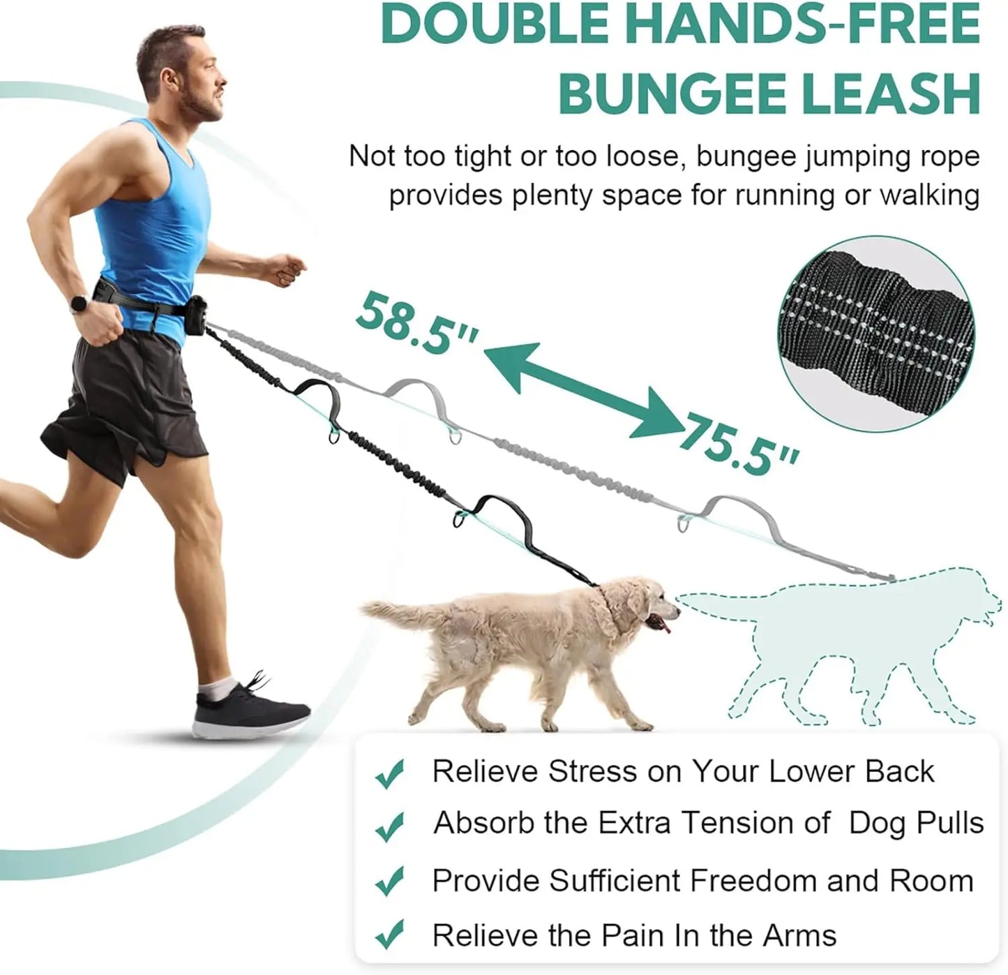 Pipidodo Hands-Free Dog Leash with Waist Bag and Cushioned Pad – Ideal for Running and Walking with Shock-Absorbing Design for Single and Dual Dogs