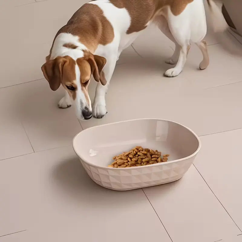 Set of 4 Durable Leak-Proof Cat Bowls - Anti-Fatigue Design for Effortless Cleaning, Ideal for Indoor Cats