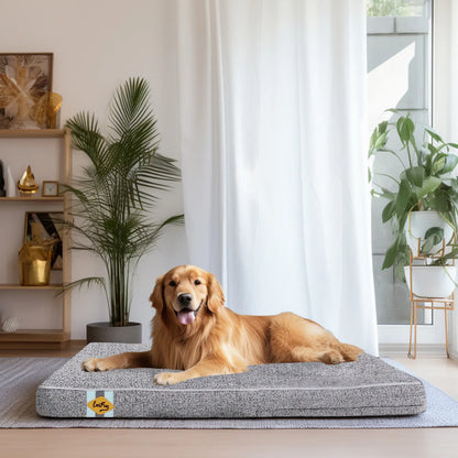 Laifug Orthopedic Memory Foam Dog Bed (46" x 28" x 4") with Waterproof Liner, Removable Washable Cover, and Ergonomic Design
