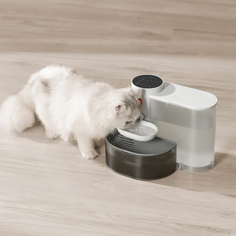 Smart Automatic Pet Water Dispenser with Stainless Steel Bowl - Continuous Flowing Water Feeder for Cats and Dogs