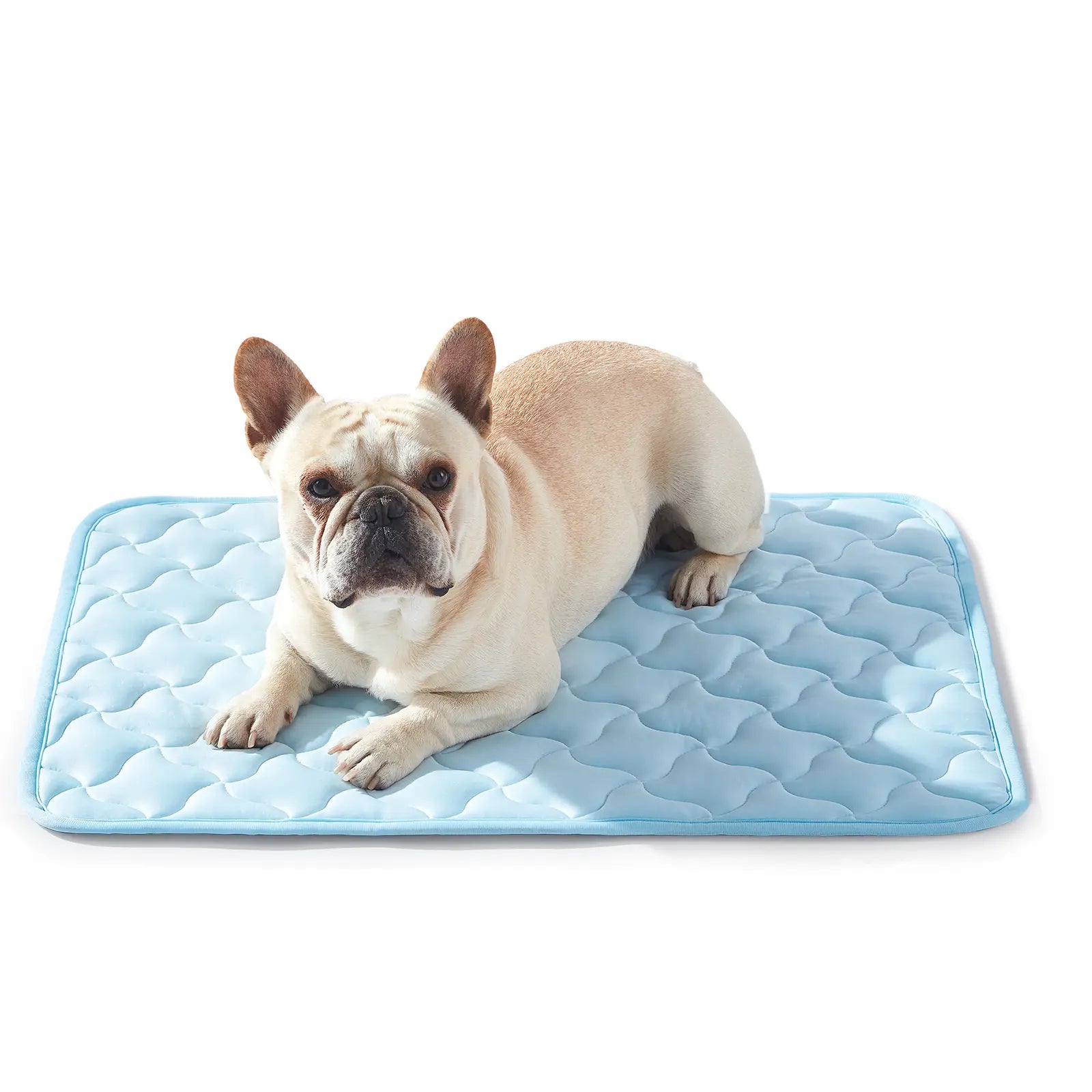 MIXJOY All-Size Dog Cooling Mat with Q-Max > 0.5 for Instant Temperature Reduction - Durable, Machine Washable, Anti-Slip Design for Indoor and Outdoor Use