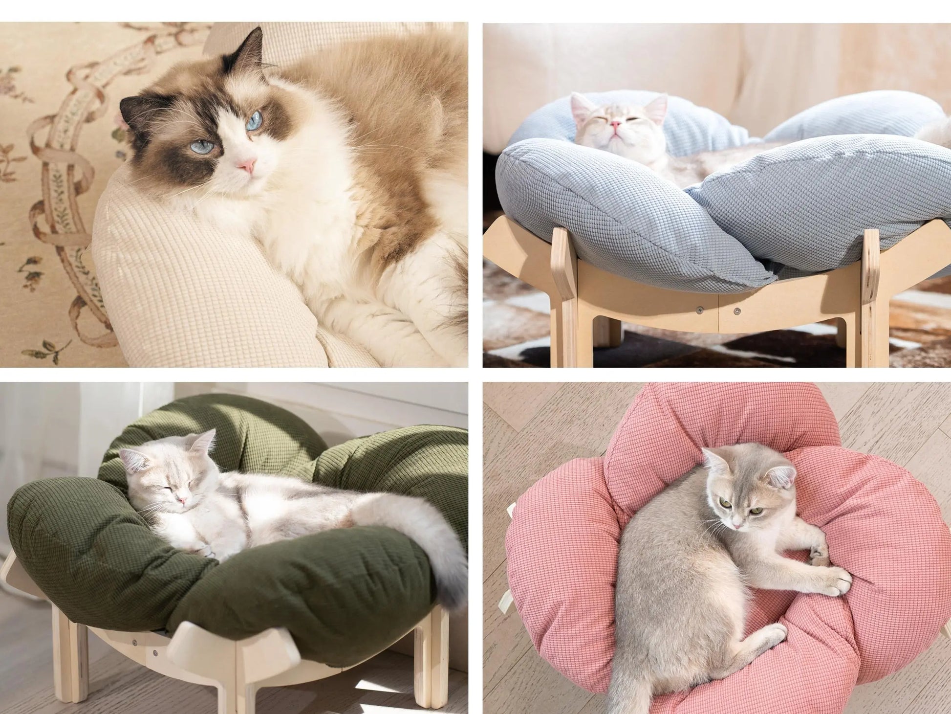 Luxurious Elevated Flower Cat Bed - Stylish Wooden Lounge with Cozy Cushion for Indoor Cats and Dogs - Perfect Raised Pet Sofa for Ultimate Relaxation
