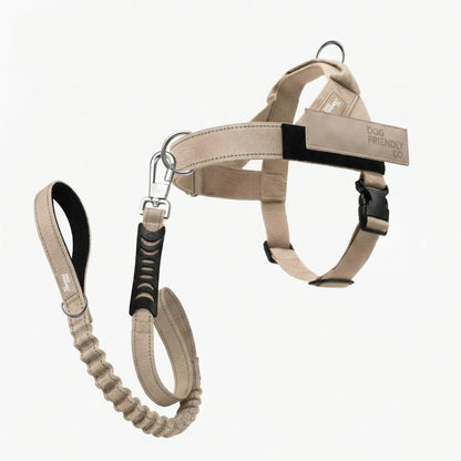 Dog Friendly Co. No-Pull Harness with D-Ring and Bungee Leash System