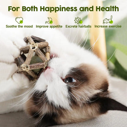 Potaroma Natural Silvervine Cat Chew Toys - 3 Pack Interactive Molar Balls with Bell for Teeth Cleaning, Suitable for All Cat Breeds