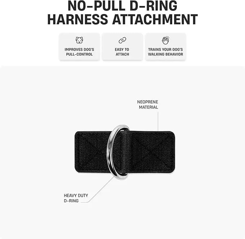 Dog Friendly Co. No-Pull Harness with D-Ring and Bungee Leash System