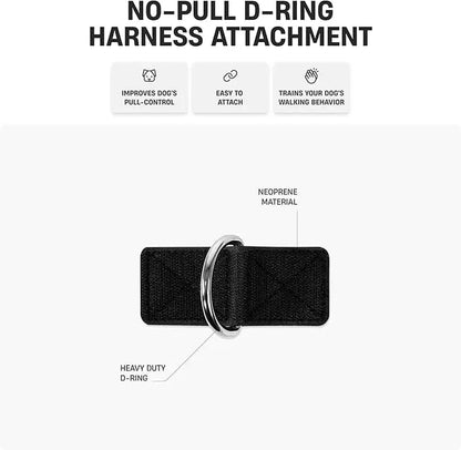 Dog Friendly Co. No-Pull Harness with D-Ring and Bungee Leash System