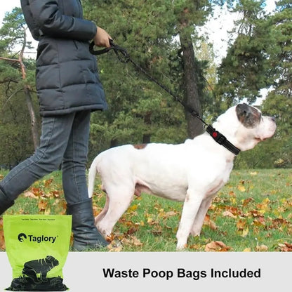 Reflective Dog Leash with Comfortable Round Rope, Non-Irritating Pet Harness, Durable Puppy Lead, and User-Friendly Walking Strap