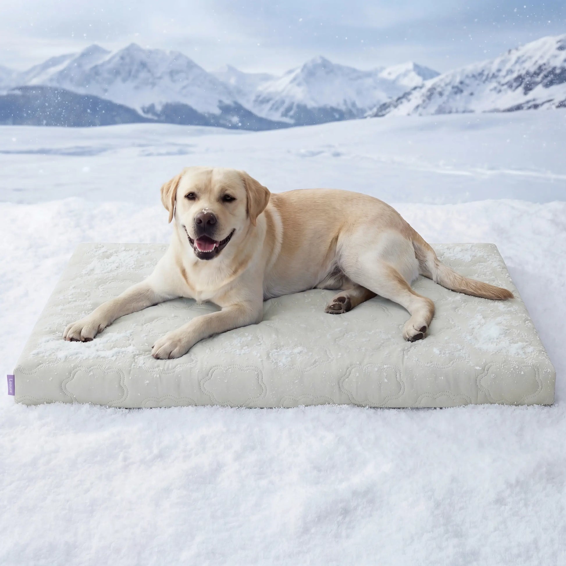 Lesure Orthopedic Cooling Dog Mat with Washable Cover, Q-Max > 0.5, Egg Crate Foam Non-Slip Design for Extra Large Dogs