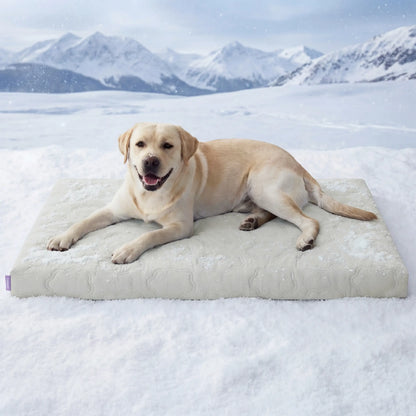 Lesure Orthopedic Cooling Dog Mat with Washable Cover, Q-Max > 0.5, Egg Crate Foam Non-Slip Design for Extra Large Dogs