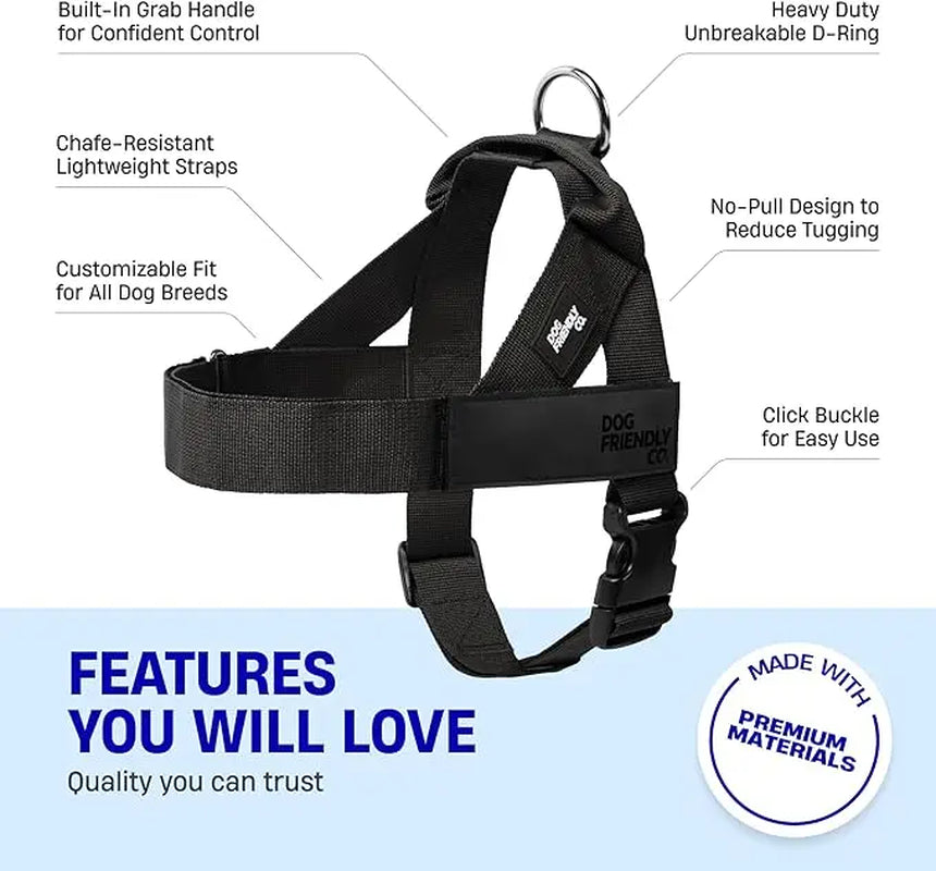 Dog Friendly Co. No-Pull Harness with D-Ring and Bungee Leash System