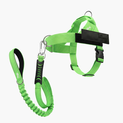 Dog Friendly Co. No-Pull Harness with D-Ring and Bungee Leash System