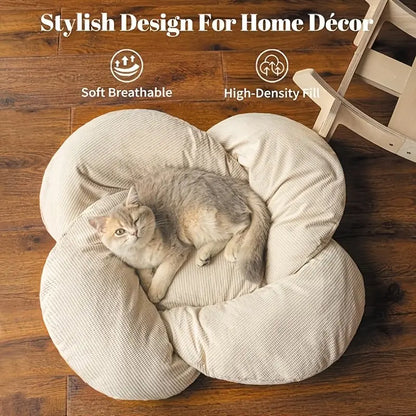 Luxurious Elevated Flower Cat Bed - Stylish Wooden Lounge with Cozy Cushion for Indoor Cats and Dogs - Perfect Raised Pet Sofa for Ultimate Relaxation