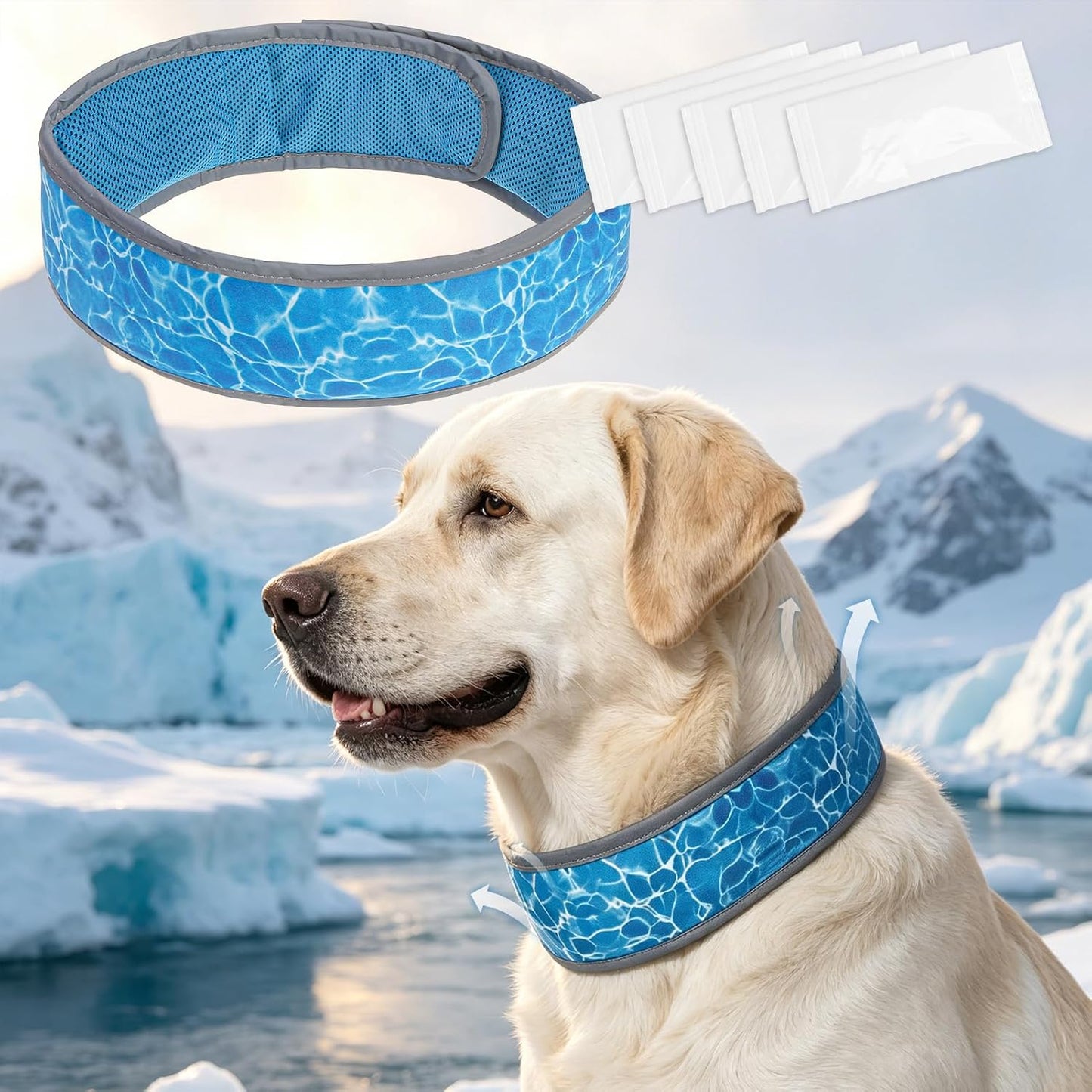 Stay Cool This Summer with Our Adjustable Reflective Dog Cooling Bandana - Perfect for All Breeds!