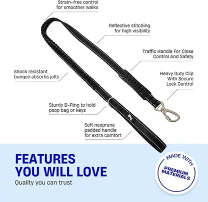 Dog Friendly Co. No-Pull Harness with D-Ring and Bungee Leash System