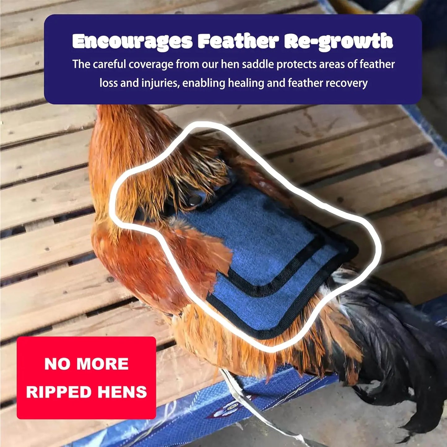 Set of 6 Adjustable Chicken Saddles with Elastic Straps - Protective Outdoor Aprons for Hens, Suitable for Small to Large Poultry