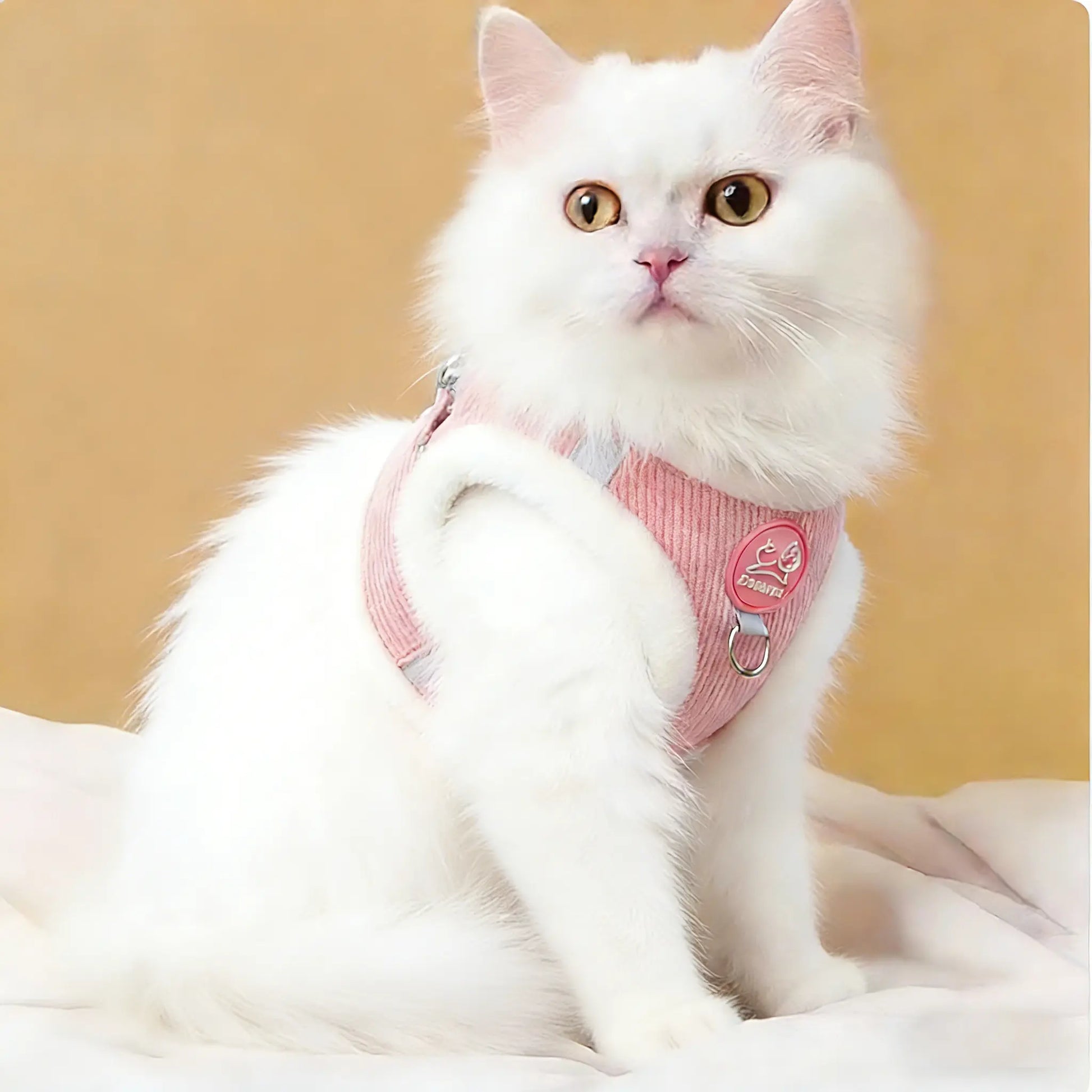 Yuy Pet Adjustable Safety Harness with Leash for Dogs and Cats, Soft Plush Chest Strap for Outdoor Walking, Reflective Strip Design, Set of 2