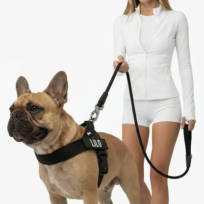 Dog Friendly Co. No-Pull Harness with D-Ring and Bungee Leash System
