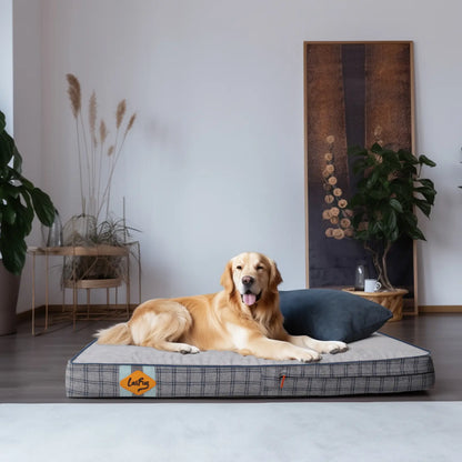 Laifug Orthopedic Memory Foam Dog Bed (46" x 28" x 4") with Waterproof Liner, Removable Washable Cover, and Ergonomic Design