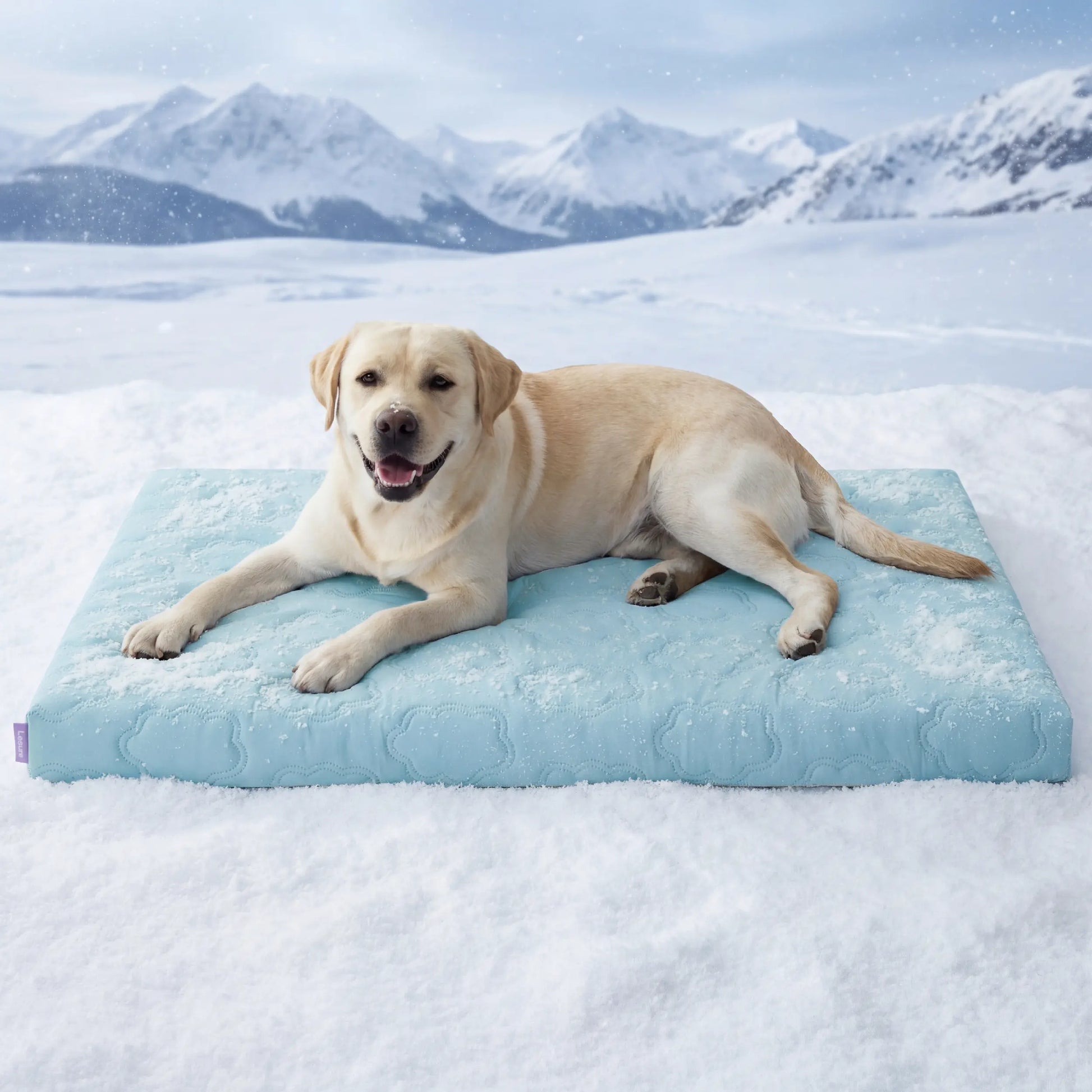 Lesure Orthopedic Cooling Dog Mat with Washable Cover, Q-Max > 0.5, Egg Crate Foam Non-Slip Design for Extra Large Dogs