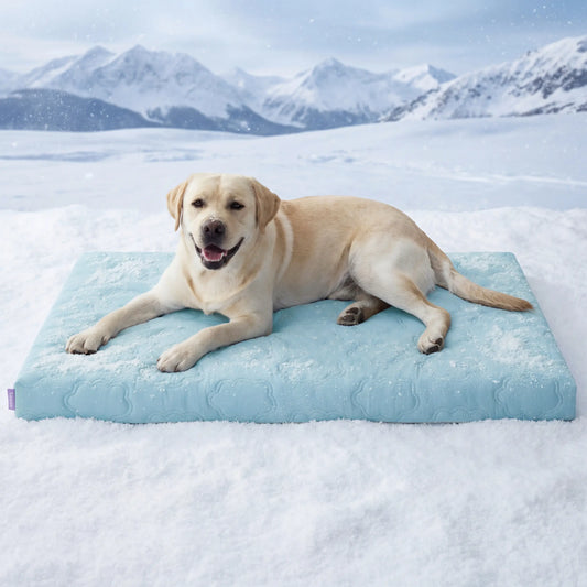 Lesure Orthopedic Cooling Dog Mat with Washable Cover, Q-Max > 0.5, Egg Crate Foam Non-Slip Design for Extra Large Dogs