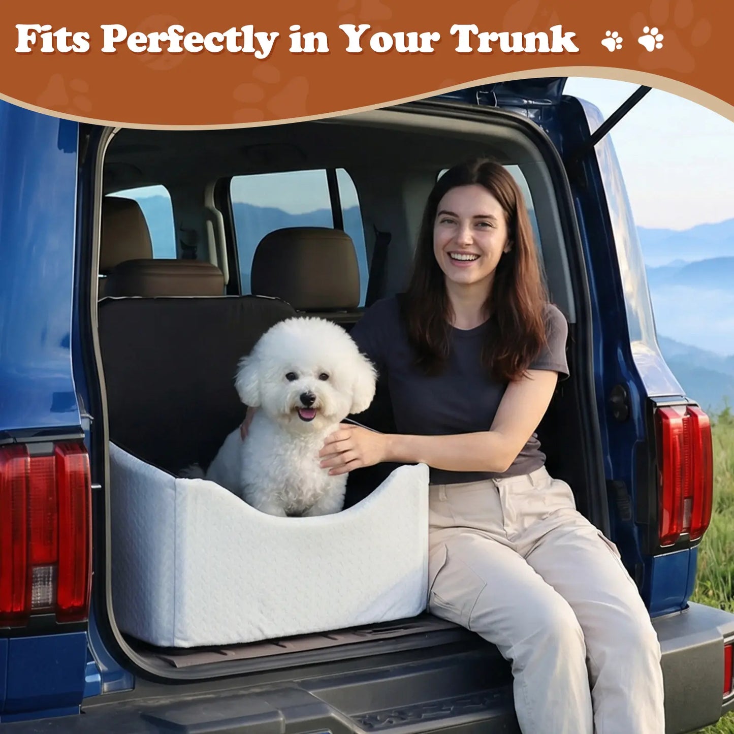 VALUXE Dog Car Booster Seat - All-Season Enclosed Design with Seat Belt Straps, Non-Slip & Waterproof Pet Travel Seat