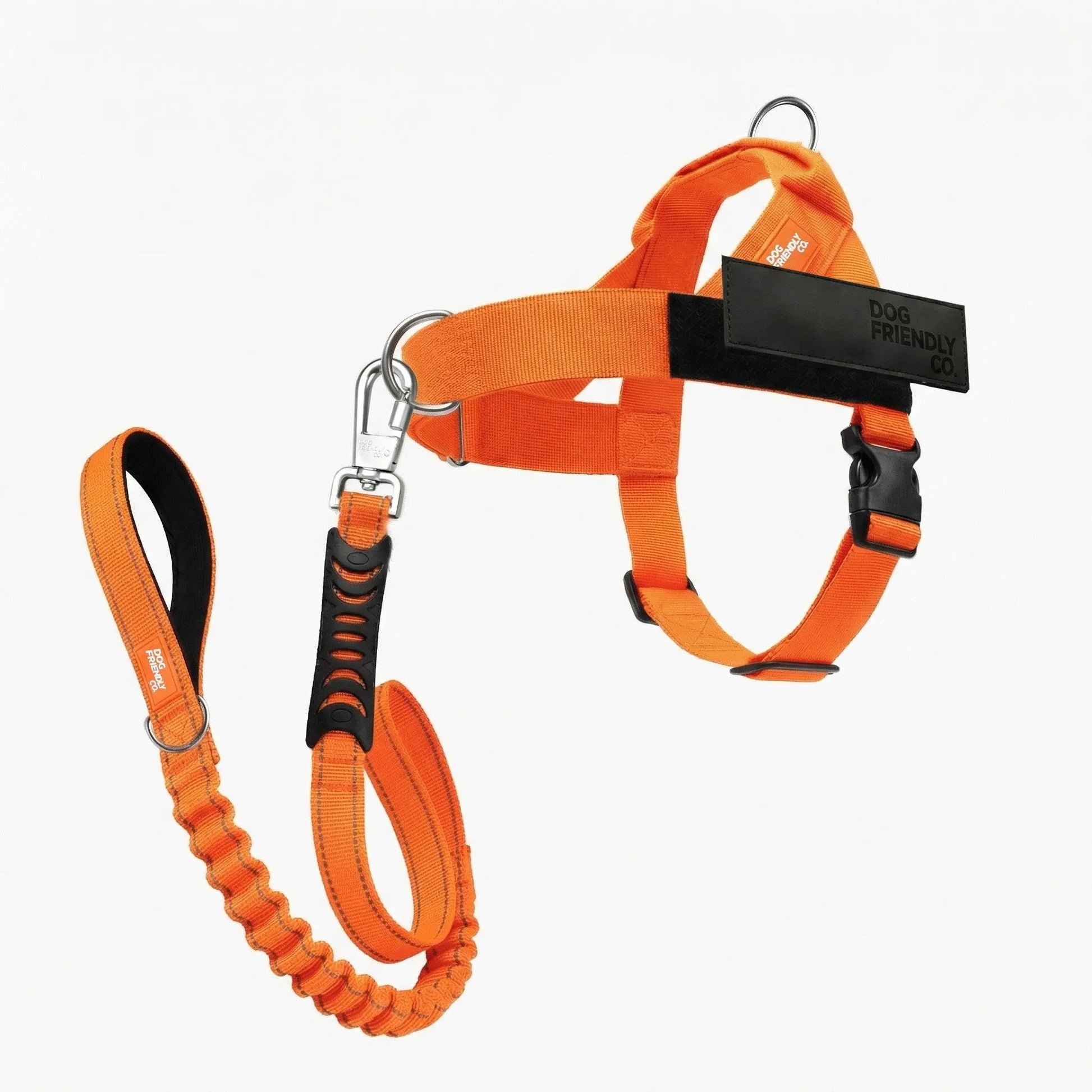 Dog Friendly Co. No-Pull Harness with D-Ring and Bungee Leash System