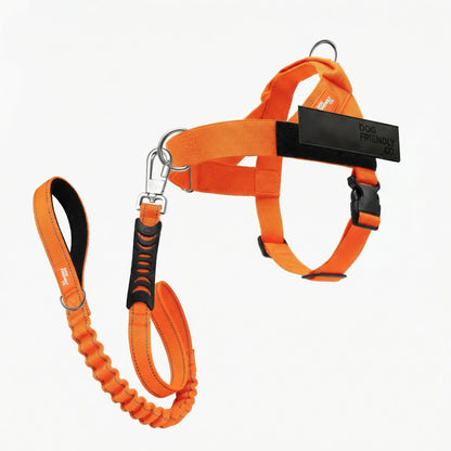 Dog Friendly Co. No-Pull Harness with D-Ring and Bungee Leash System