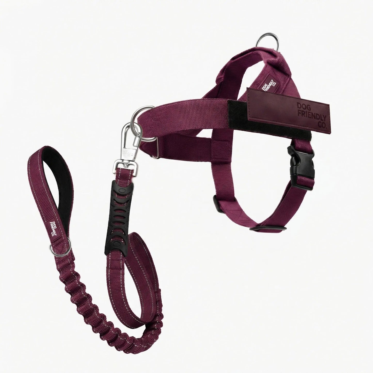 Dog Friendly Co. No-Pull Harness with D-Ring and Bungee Leash System