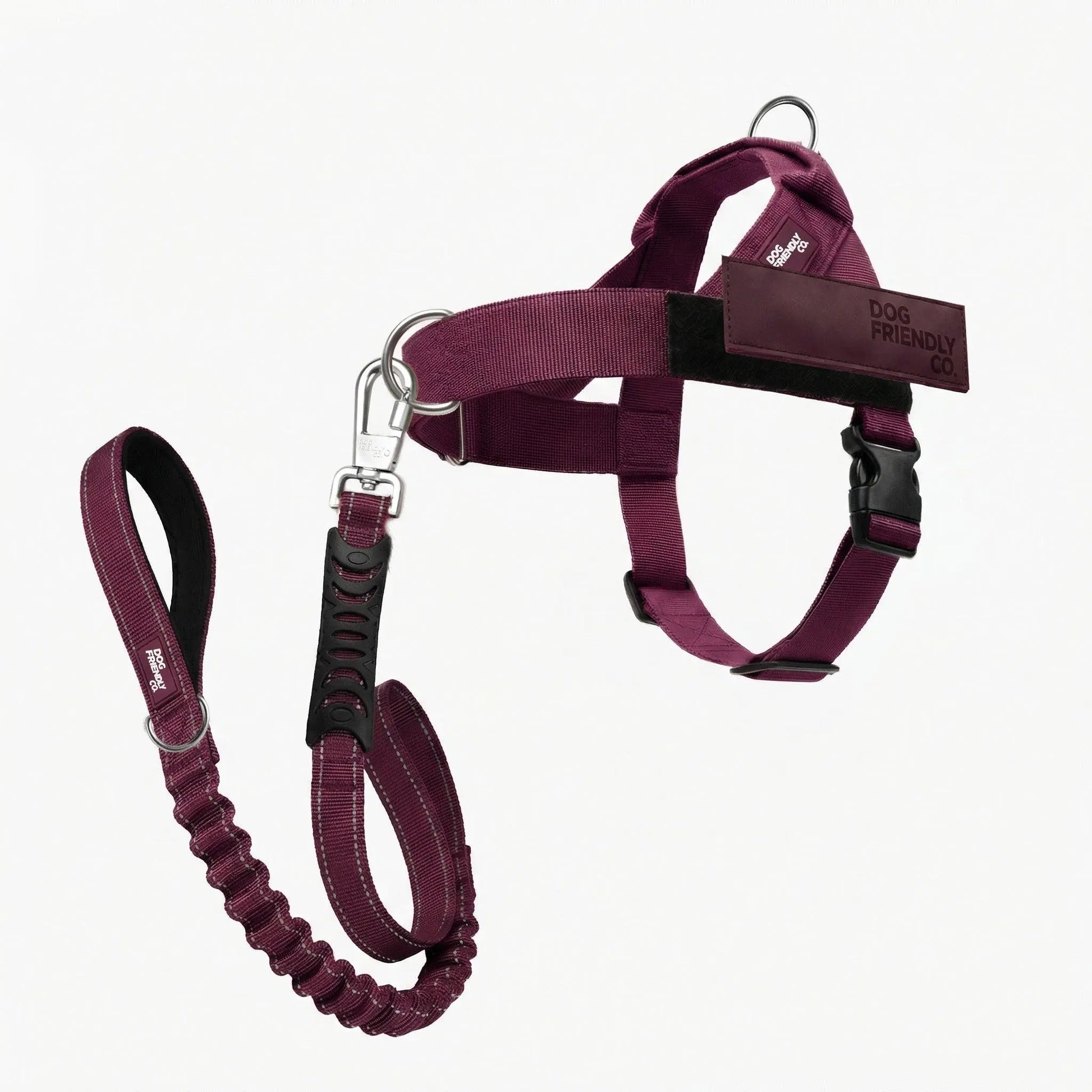 Dog Friendly Co. No-Pull Harness with D-Ring and Bungee Leash System