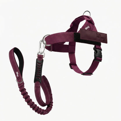 Dog Friendly Co. No-Pull Harness with D-Ring and Bungee Leash System