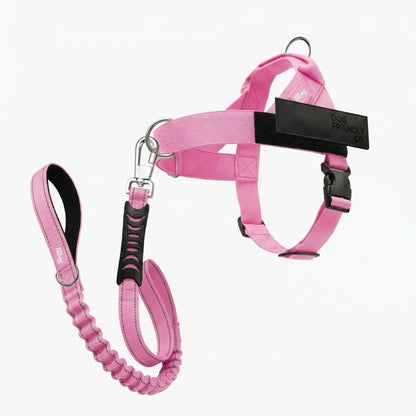 Dog Friendly Co. No-Pull Harness with D-Ring and Bungee Leash System