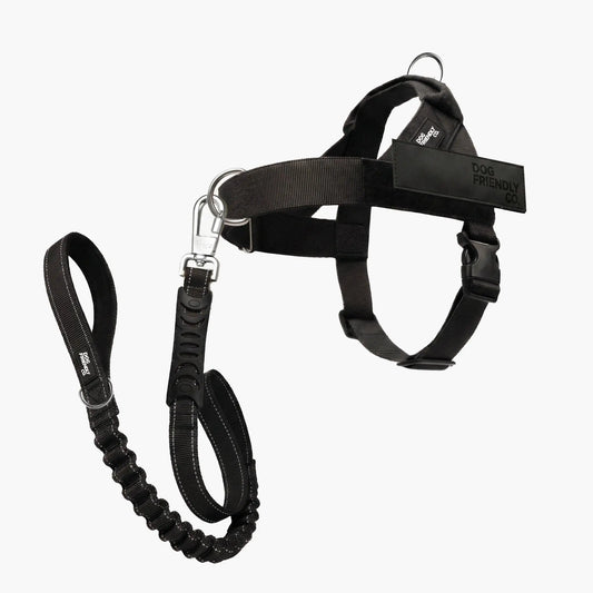 Dog Friendly Co. No-Pull Harness with D-Ring and Bungee Leash System