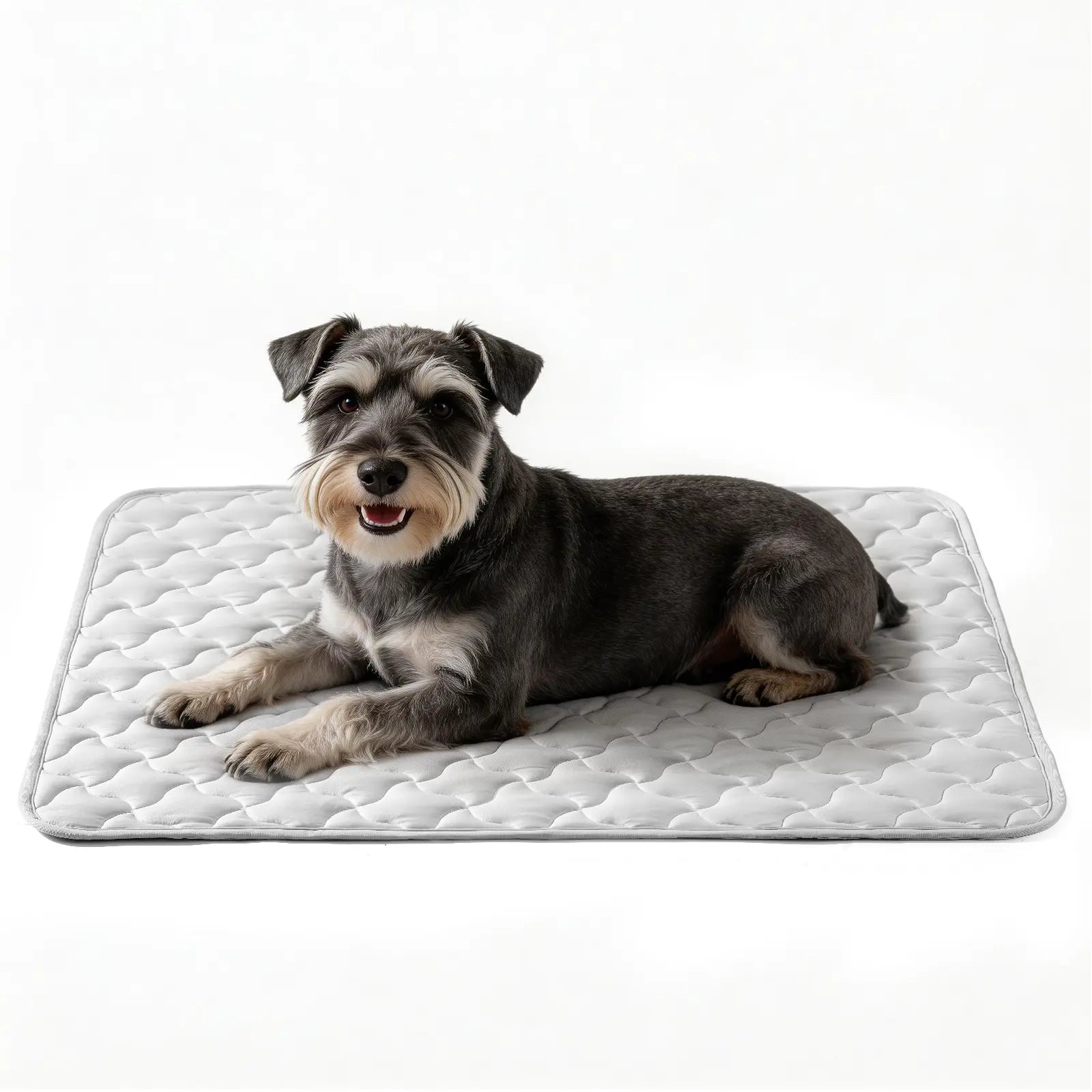 MIXJOY All-Size Dog Cooling Mat with Q-Max > 0.5 for Instant Temperature Reduction - Durable, Machine Washable, Anti-Slip Design for Indoor and Outdoor Use